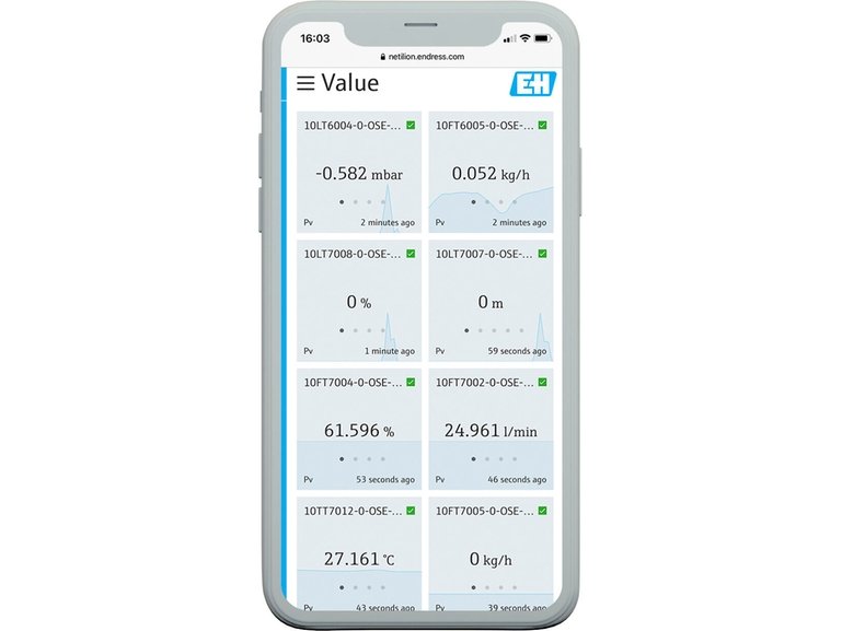 Netilion Value - Endress+Hauser Industrial Instrument
