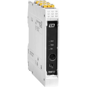 RNF22 - Endress+Hauser Industrial Instrument