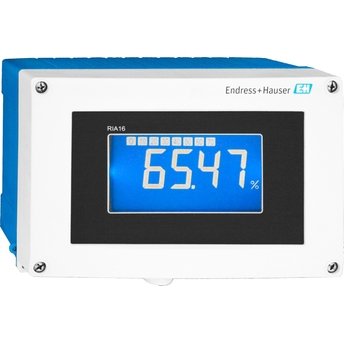 RSG35 - Endress+Hauser Industrial Instrument