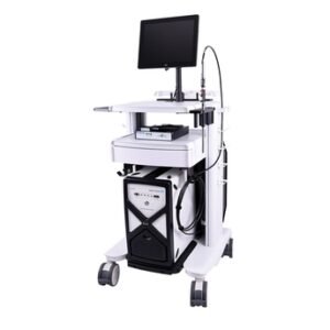 Raman Rxn2 - Endress+Hauser Industrial Instrument